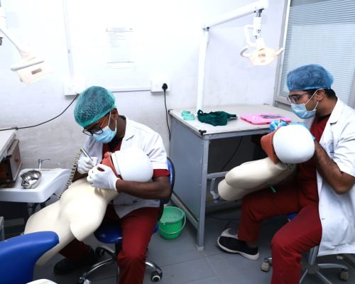 1Z6A7195 phantom head lab