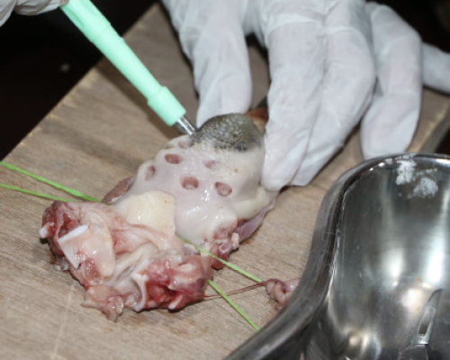 Screenshot 2025-10-09 at 2.46.51 PM