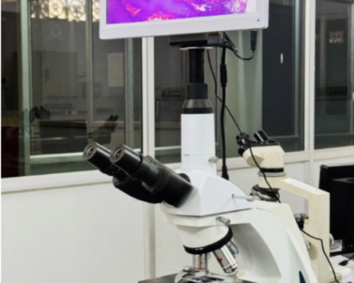 Screenshot 2025-10-10 at 12.34.13 PM