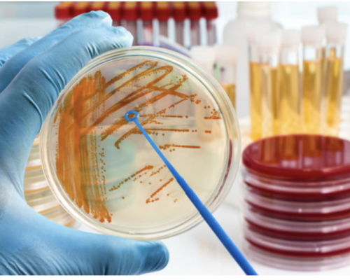 Screenshot 2025-10-10 at 12.39.48 PM